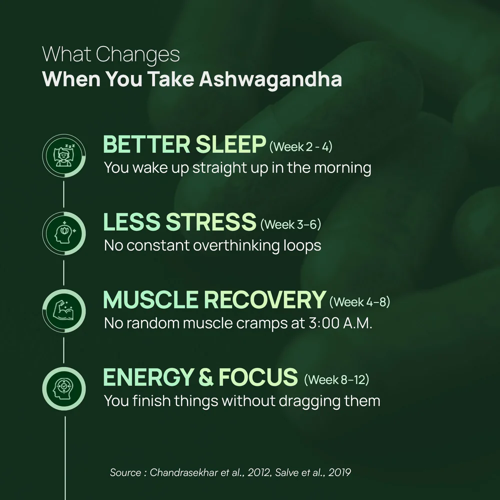 Ashwagandha KSM-66 - 60 Capsules - Image 5