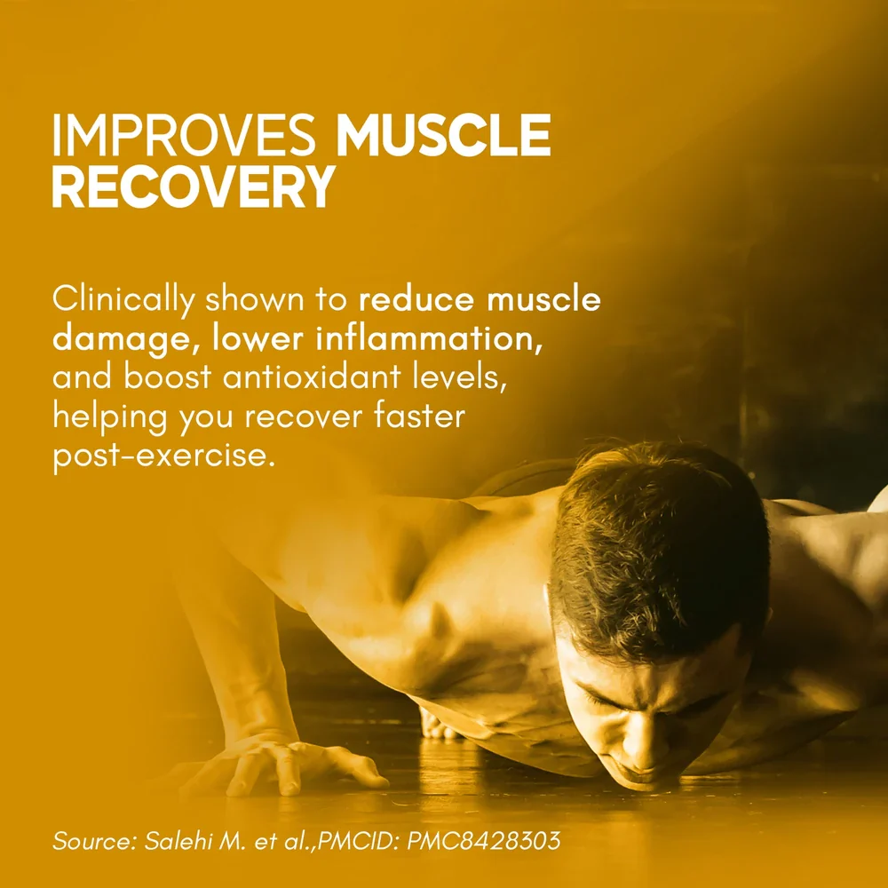 Curcumin – Triple Power - Image 6