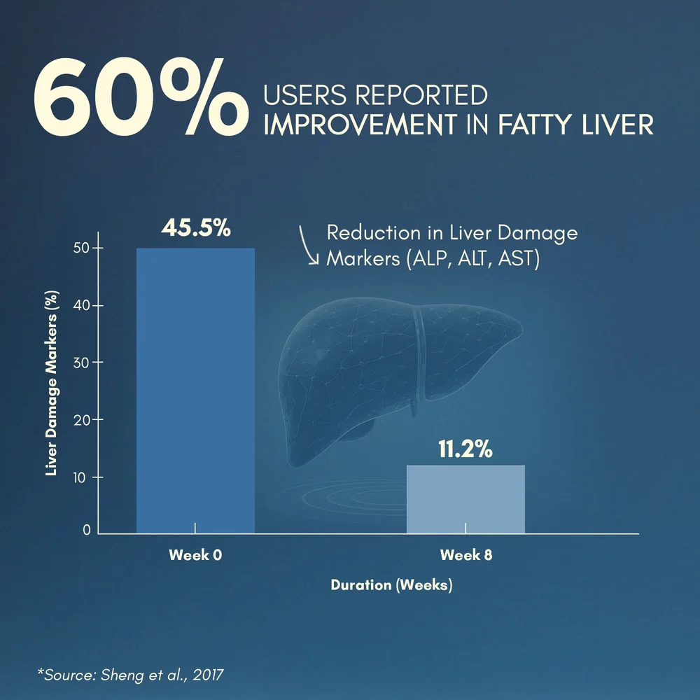 Liver Detox - 360° Liver Support - Image 4