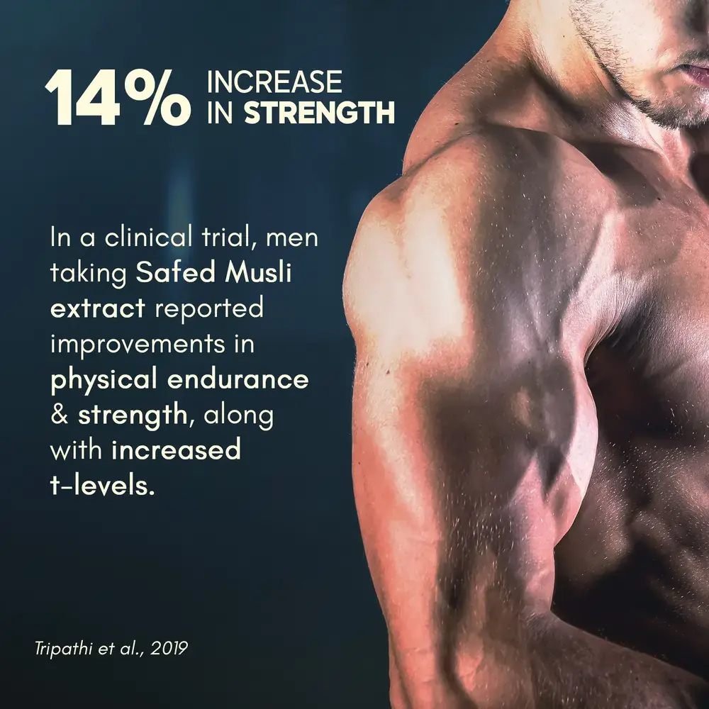 Multivitamin Tablets for Men - Image 4