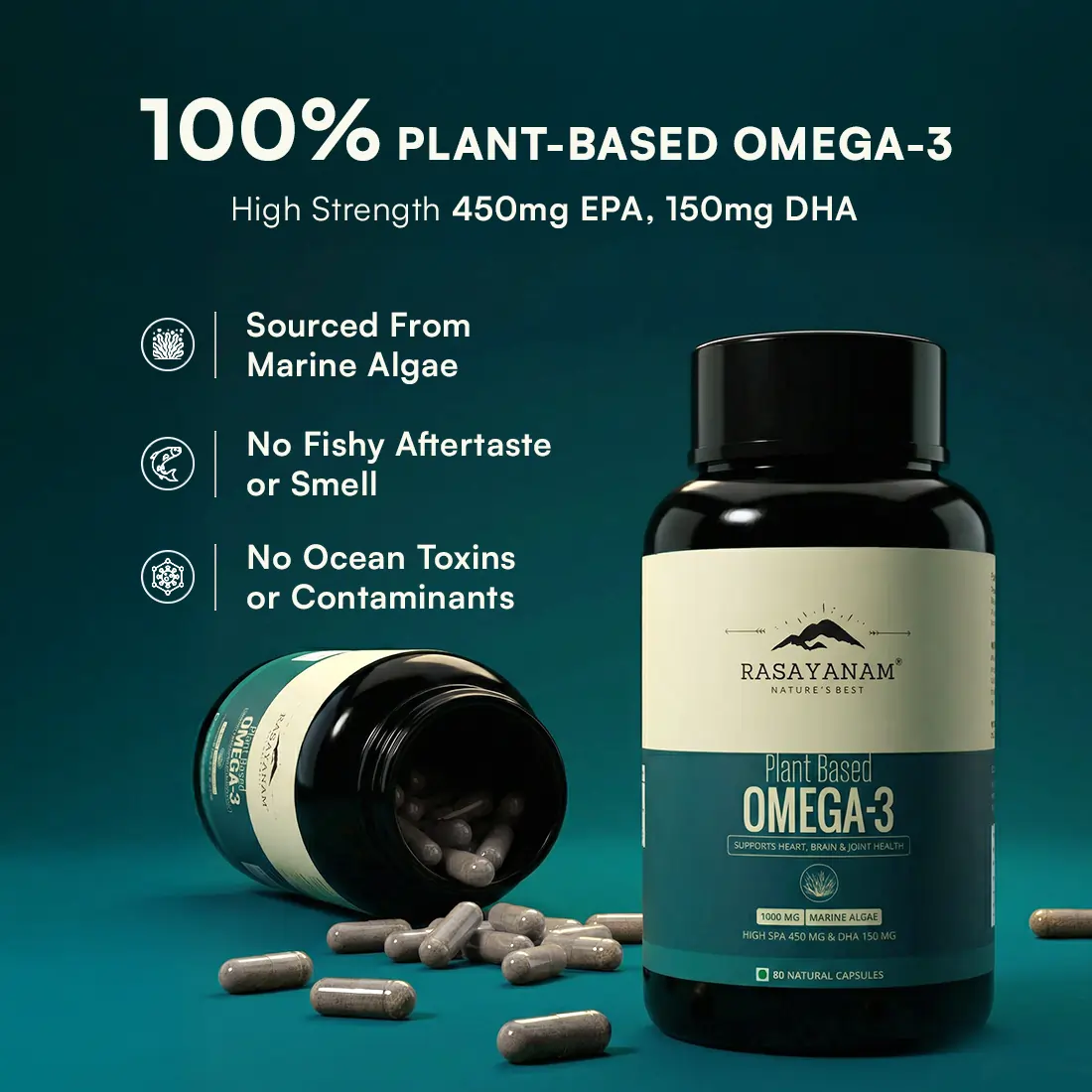 Plant-Based Omega-3 and Vitamin B12 Combo for Brain, Joints & Energy Support - Image 4